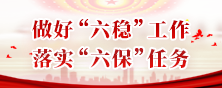 做好“六穩”工作落實“六保”任務(已歸檔)
